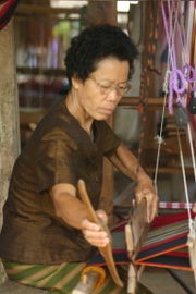Silk weaver