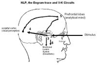 Explaining the neuro in NLP in relation to V-K modalities(click to enlarge)