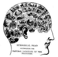 Winkin 1990 and Beyerstein 1990 associate NLP with the classic pseudoscience of phrenology